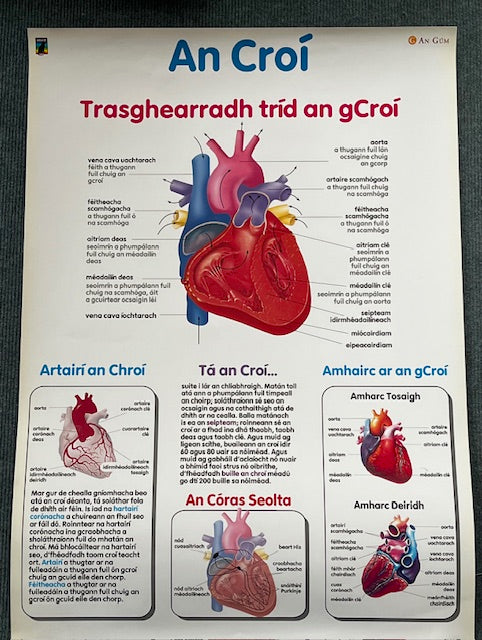 Sraith Póstaer An Croí / The Heart